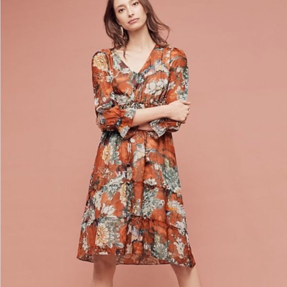 Anthropologie Gorgeous autumnal empire waist, worn once. Size 10. Bird & flower